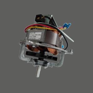 Eenfasige serie motor
