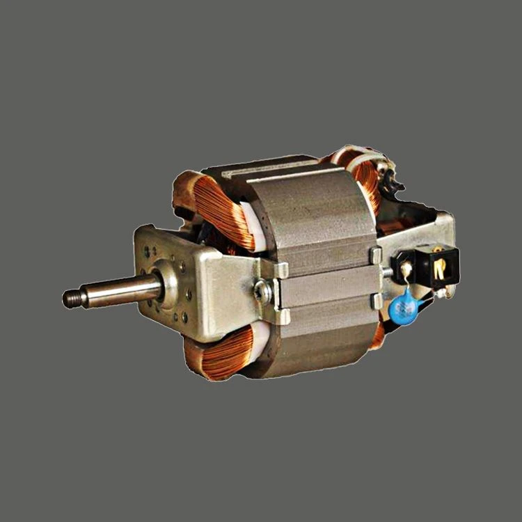 230V vleesmolenmotor
