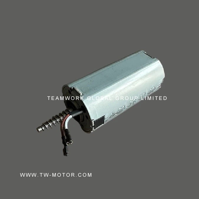 Massager Motor