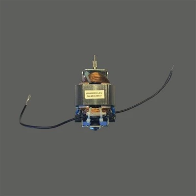 Stille blendermotor voor het maken van sap